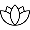 Spa Spa