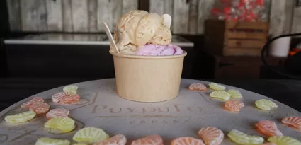 Los Helados de Nieves
