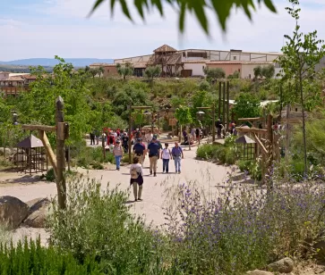 Paseo por Puy du Fou España
